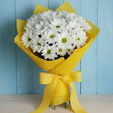 Букет цветов из:  Хризантемы в Фатеево