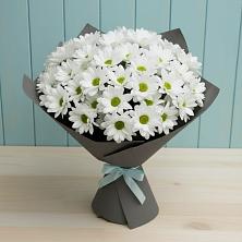 Букет цветов из:  Хризантемы в Фатеево