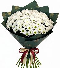 Букет цветов из:  Хризантемы в Фатеево