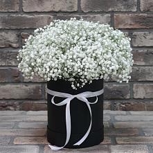 Цветочная композиция из Гипсофила в шляпной коробке в Фатеево