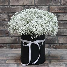 Цветочная композиция из Гипсофила в шляпной коробке в Фатеево