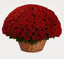 Премиум букет из: Розы в Фатеево